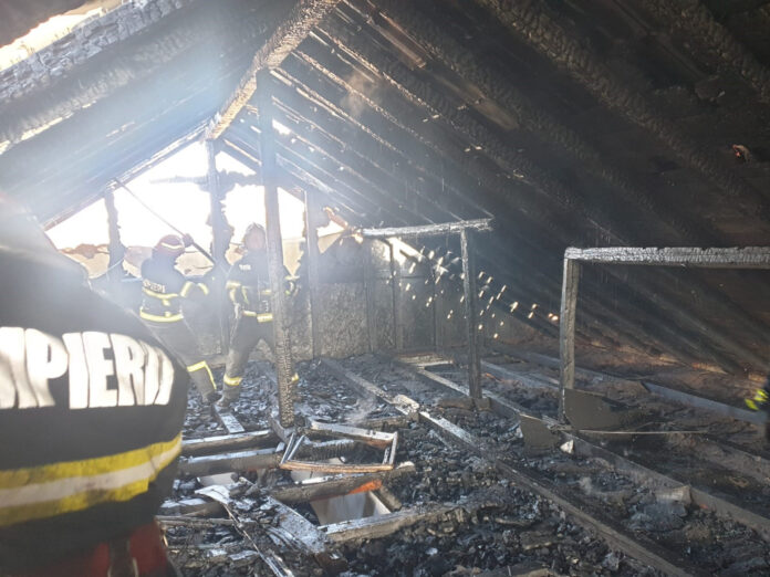 incendiu cimpineanca (3)