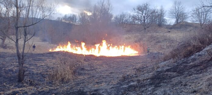 incendiu vegetatie uscata (1)