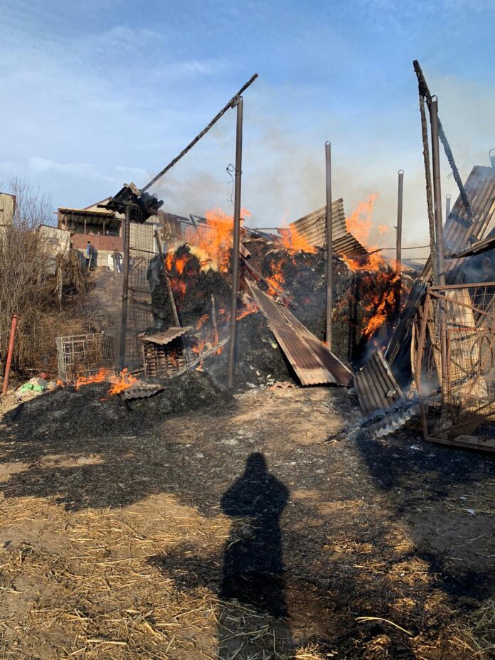 incendiu gugesti (1)
