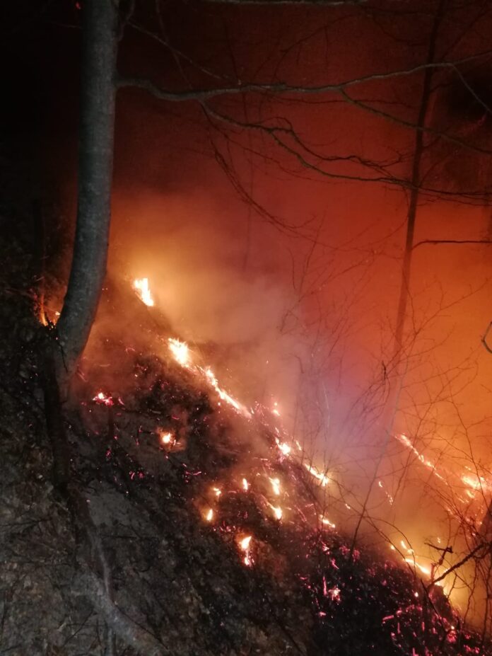 incendiu poiana cristei