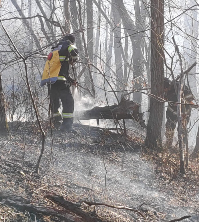 incendiu Gura Calitei (1)