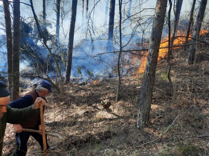incendiu padure barsesti (3)