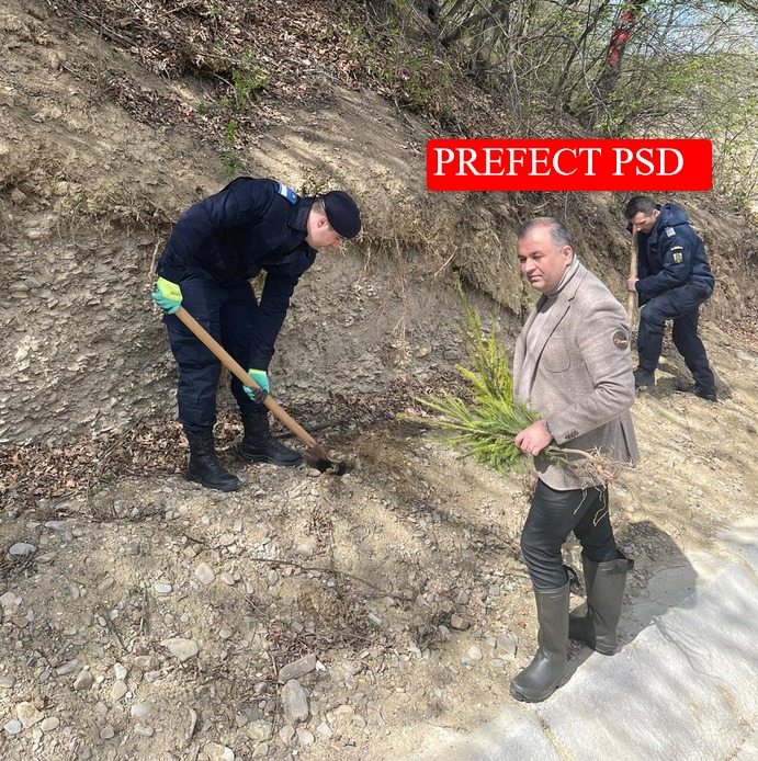 psd campanie (1)