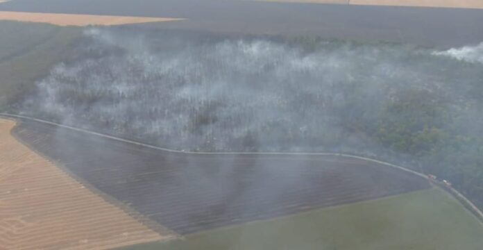 incendiu padurea sihlea (1)