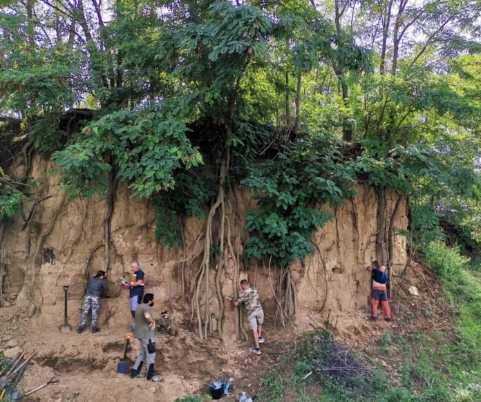 descoperiri arheologice Bolotesti (5)