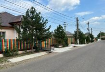Licitație pentru censionarea iluminatului public din Jariștea