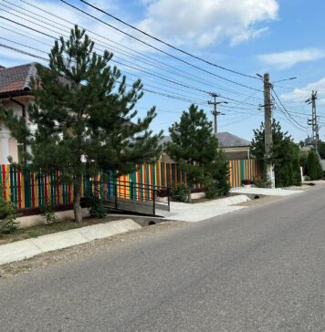 Licitație pentru censionarea iluminatului public din Jariștea