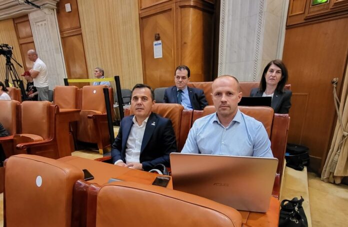 Ion Stefan parlament