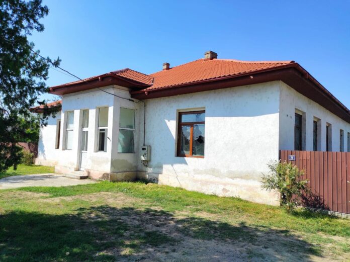 Suraia scoala dimaci (1)