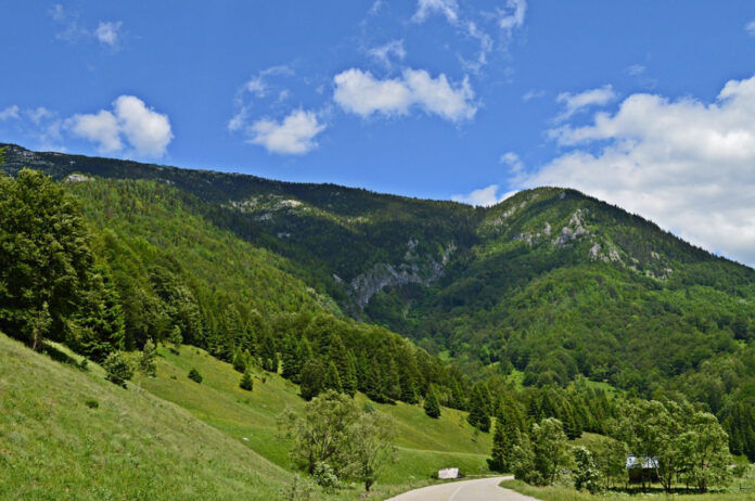 munte generic