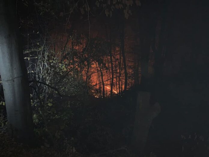 incendiu padure dumitresti (2)
