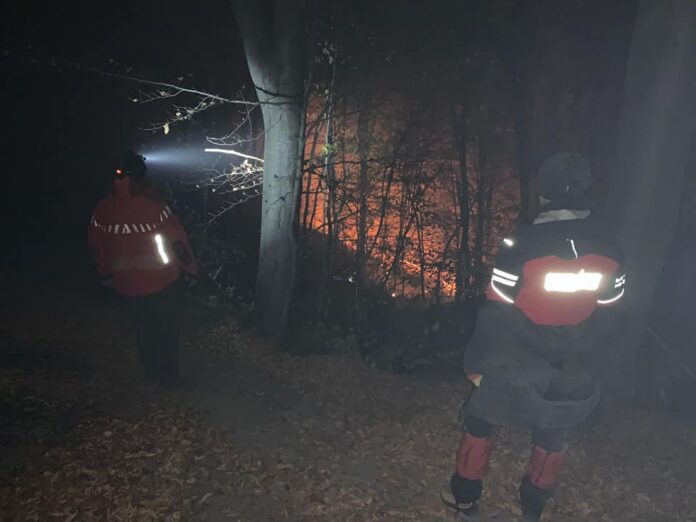 incendiu padure dumitresti (3)