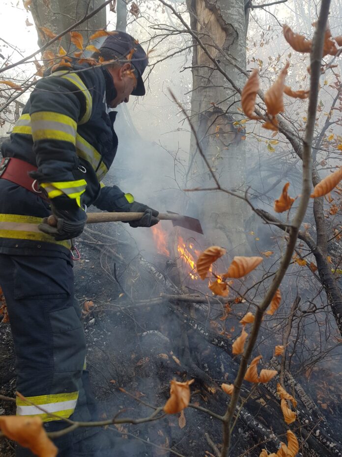 padure incendiu dumitresti (1)