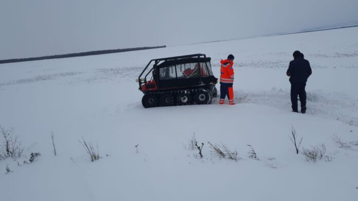 ISu senilata interventie (3)