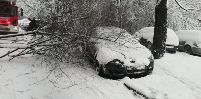 copac cazut focsani