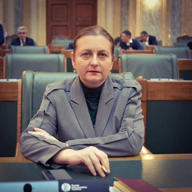 Raluca Ioan PNL