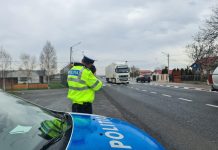 Polițiștii fac controale pe toată lungimea E85
