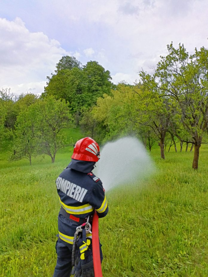 exercitiu ISU padure Dumitresti (3)