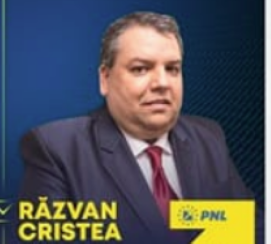 vice cristea adjud (Mică)