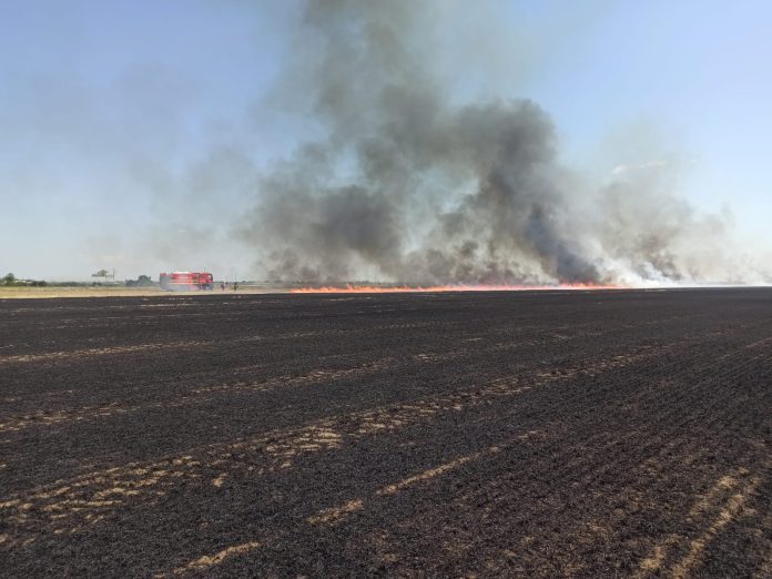 incendii vegetatie (1)