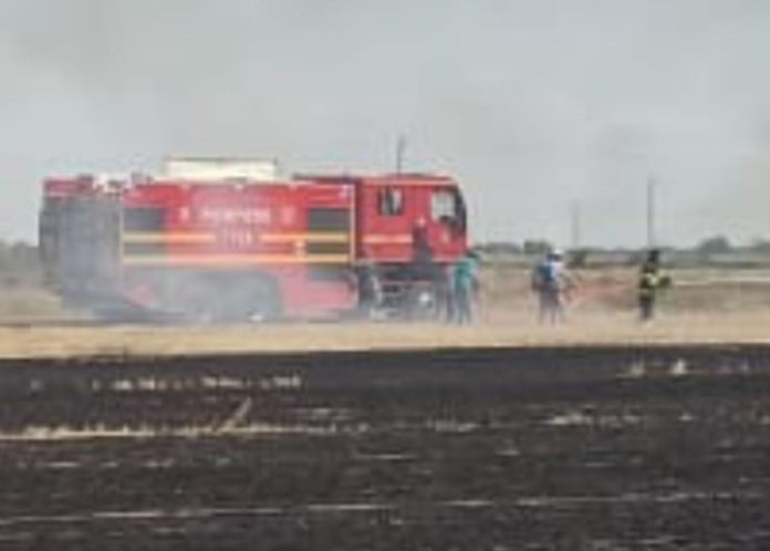 incendii vegetatie (2)