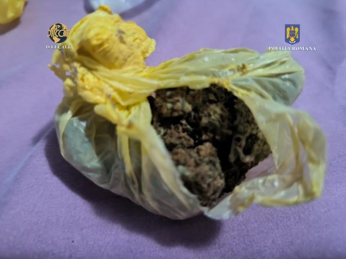 droguri (9)