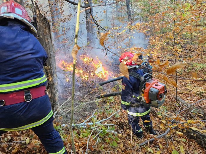 incendiu padure dumitresti (1)