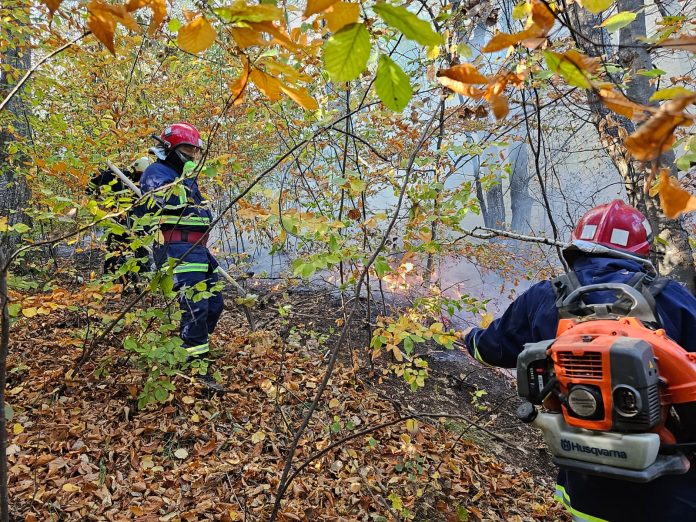 incendiu padure dumitresti (2)