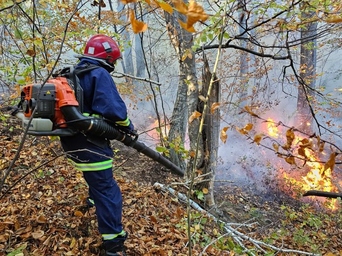incendiu padure dumitresti (3)