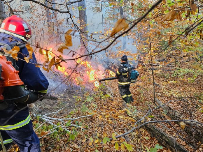 incendiu padure dumitresti (4)