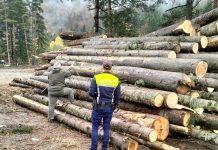 Peste 200 metri cubi de lemn confiscați de polițiști în Vrancea