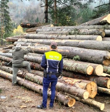 Peste 200 metri cubi de lemn confiscați de polițiști în Vrancea
