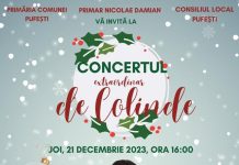 Aurel Moldoveanu cântă la Pufești, pe 21 decembrie