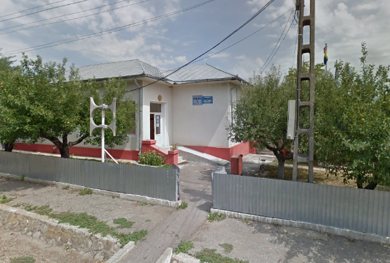 primaria corbita