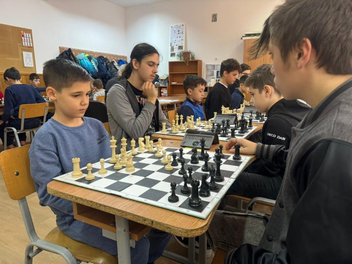 sah ziua nationala (7)