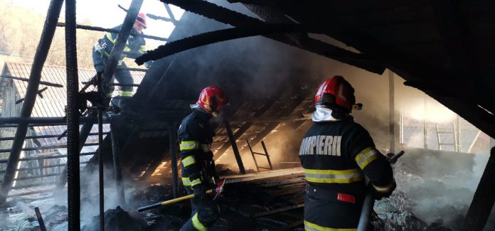 incendiu valea sarii (8)