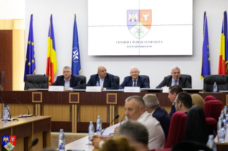 sedinta piete vrancea