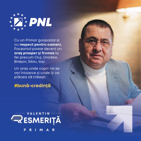 RESMERITA SOLUTII (Mică)