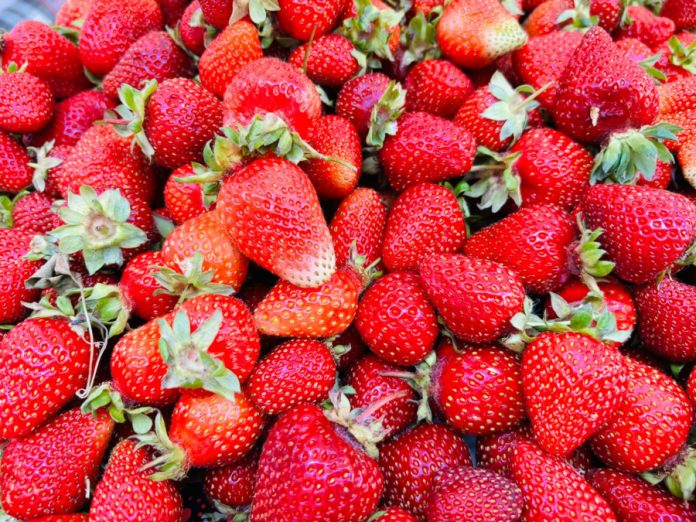 fructe