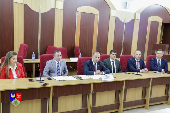 nicusor halici consilieri