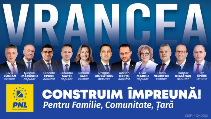 GRAFICA FACEBOOK (Mică)
