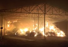 Incendiu devastator la un depozit din Țifești: sute de baloți de furaje distruși