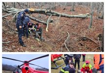 Intervenție de urgență în Negrilești: Salvare spectaculoasă a unui bărbat rănit grav de un copac prăbușit
