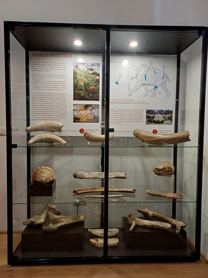Muzeu istorie si arheologie