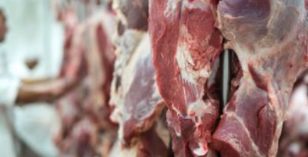 controale carne ansvsa