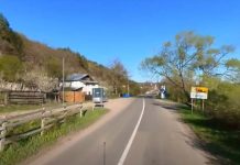 UPDATE | Bărbatul din Vrancea filmat în timp ce lovea câini, reținut de polițiști. Urmează propunerea de arestare preventivă