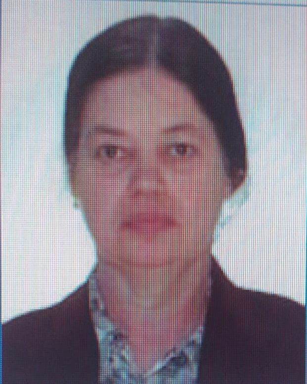 Ilinca Balcu disparuta