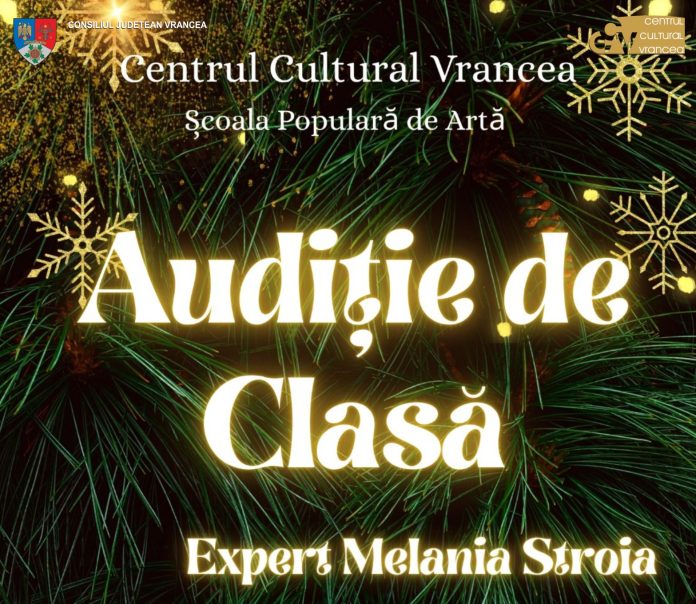 Afiș audiție de clasă