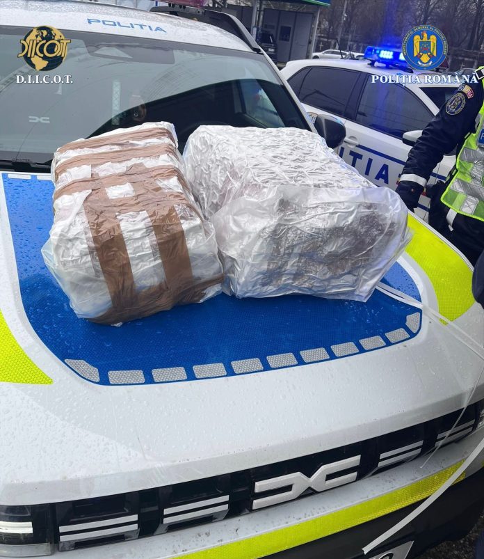 droguri politie canabis bani arme (13)