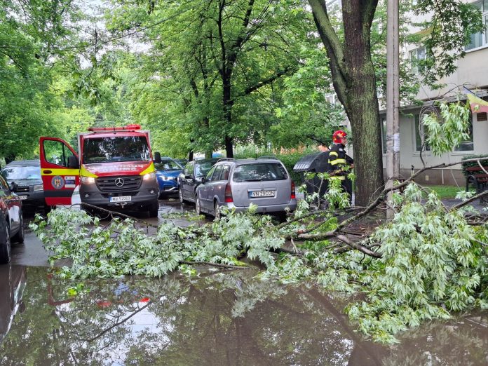 Interventii pompieri vranceni inundatii (2)